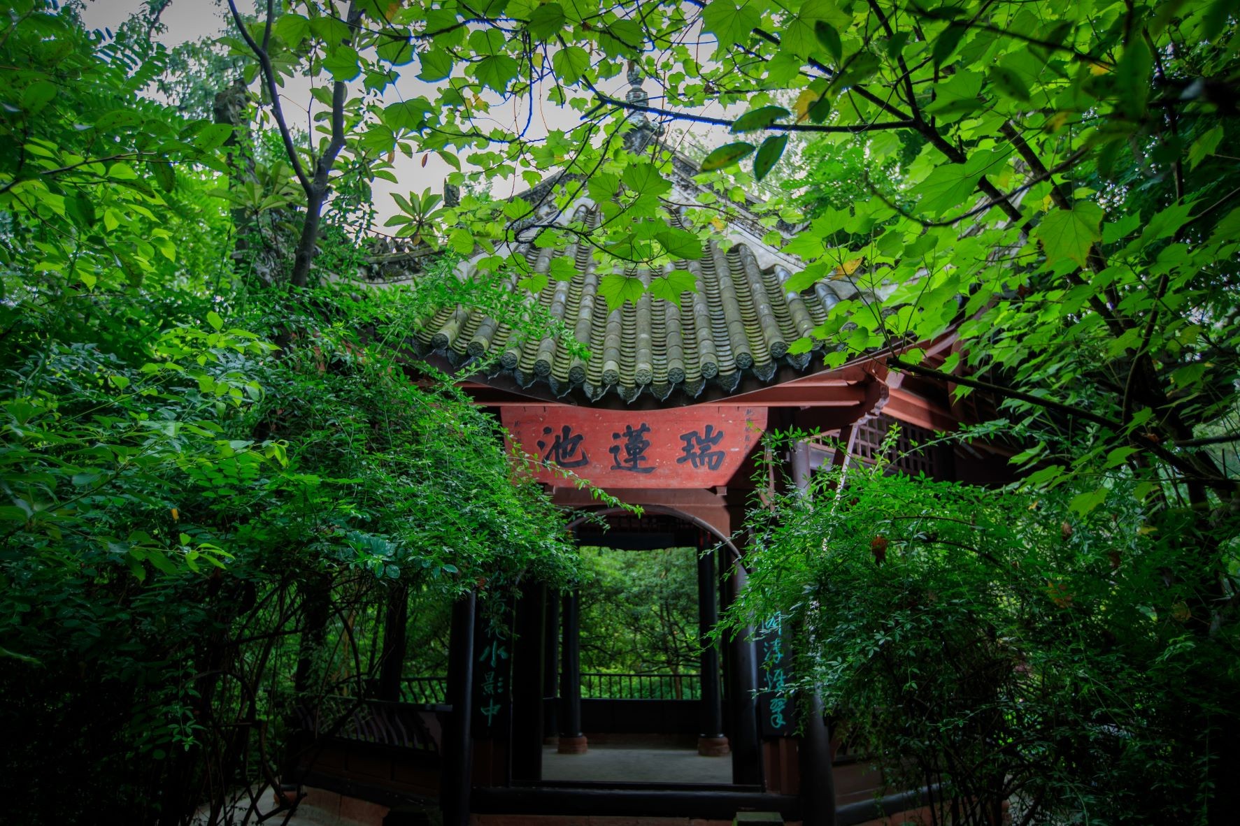 Ruilian Pavilion