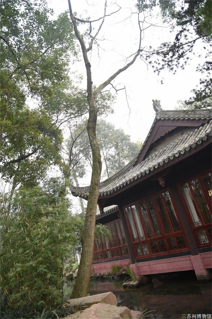 Silk tree