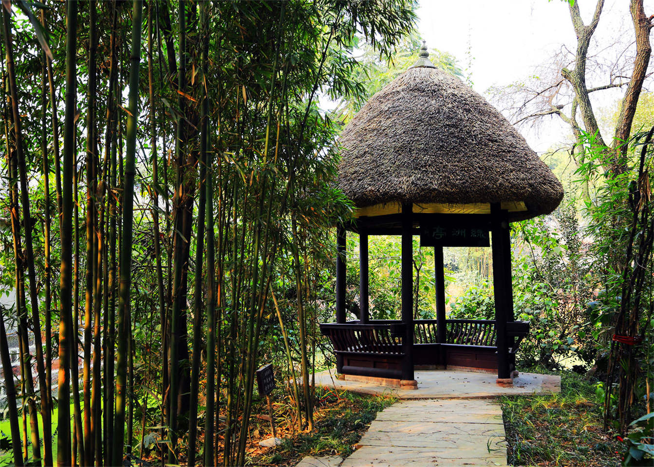 Oasis Pavilion